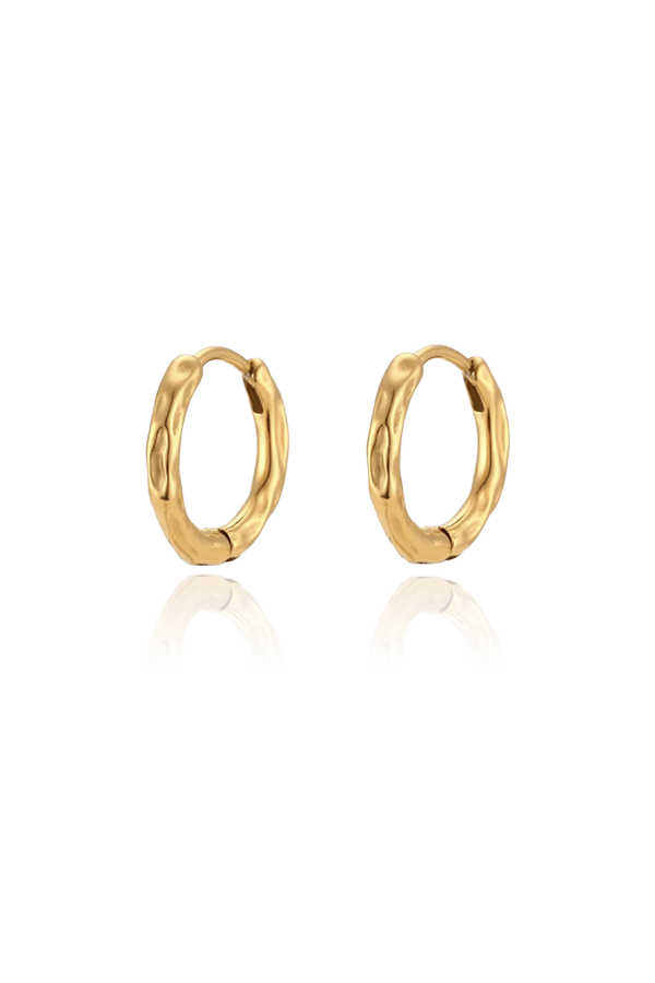 small gold hoops product picture